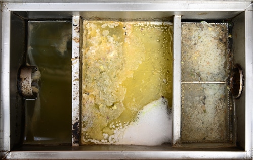 A clean grease trap with a scrub brush, representing effective maintenance and cleaning techniques for grease traps.
